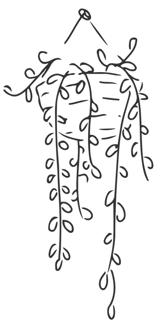 ira_6